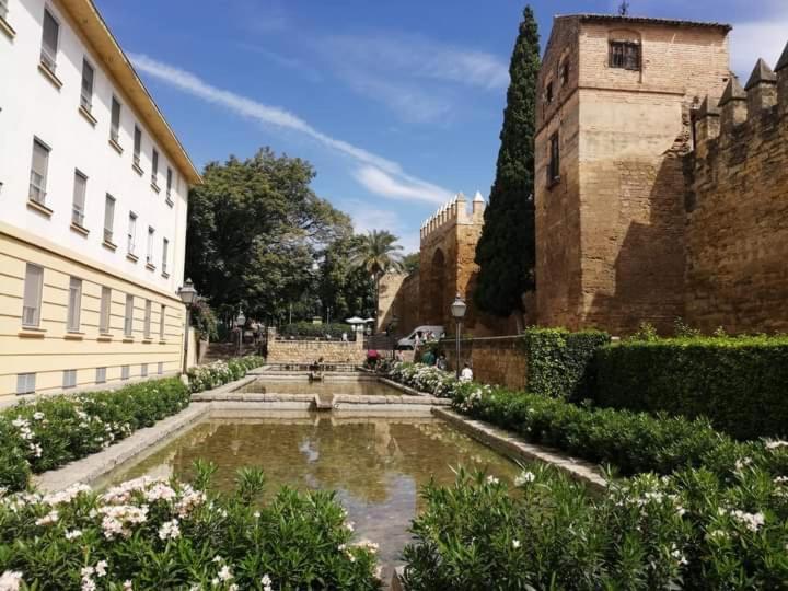 Patio De La Muralla Apartamentos Córdoba Exteriör bild